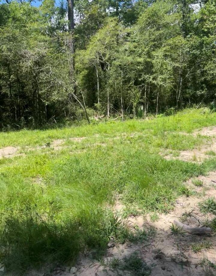 Property Photo: 58 Firewood Road TX 77340