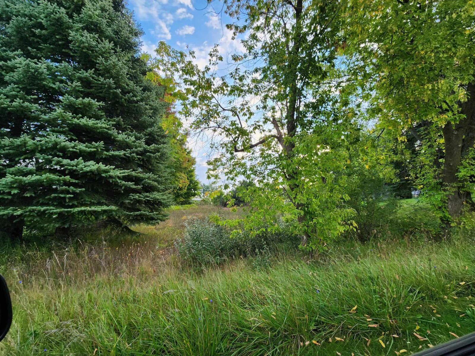 Property Photo:  N Karen Street  MI 49420 