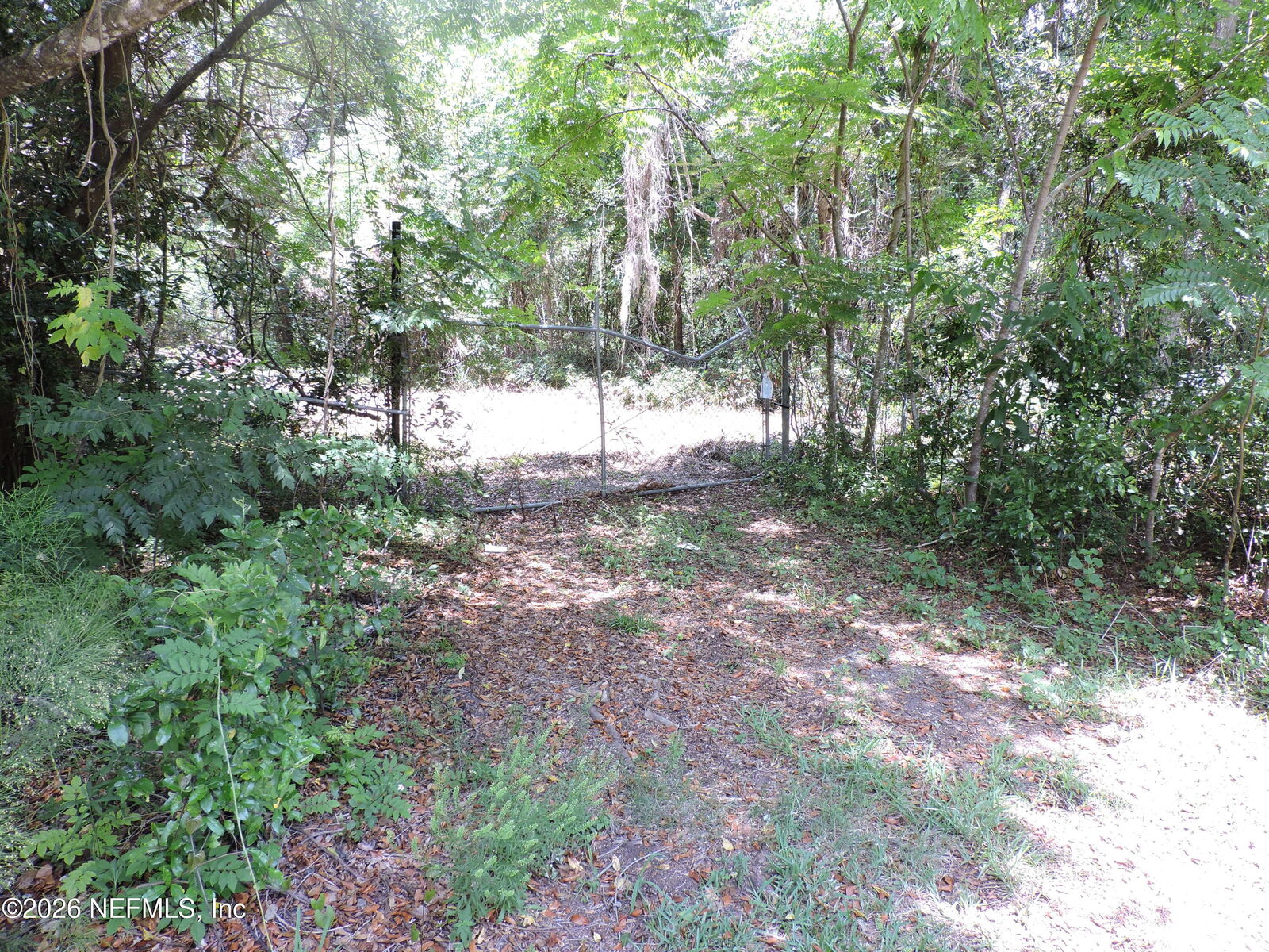 Property Photo:  3725 County Road 315A  FL 32043 