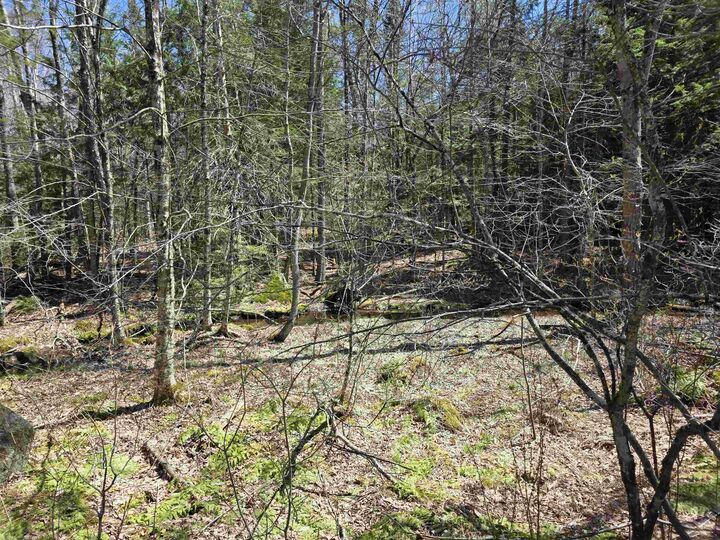 Property Photo: 0 Mansfield Road NH 03456