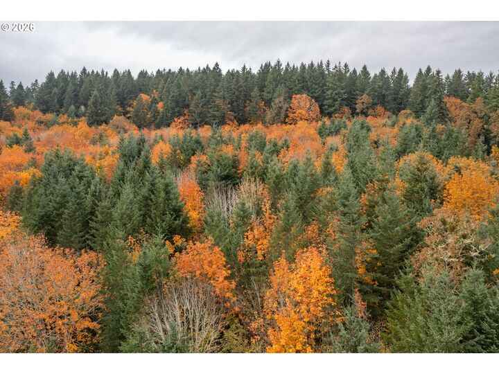 Property Photo:  7465 S Kings Valley Hwy  OR 97361 