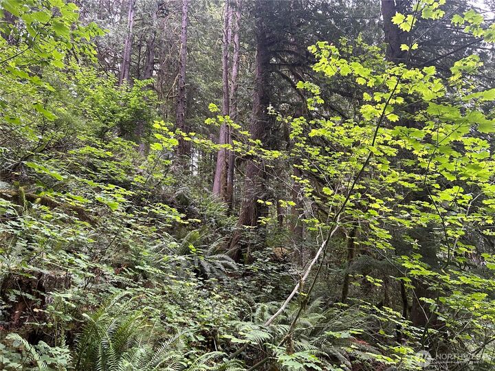 Property Photo:  64017 E Cascade Drive  WA 98267 