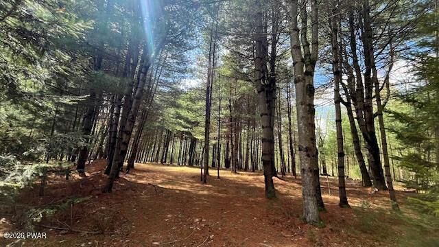 Property Photo:  Lot 20 White Road  NY 12737 