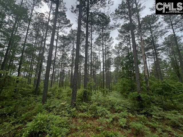 Property Photo:  Fox Young  SC 29164 