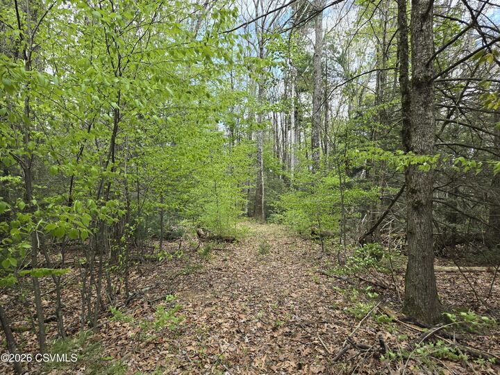 Property Photo:  Silva Lane  PA 17856 