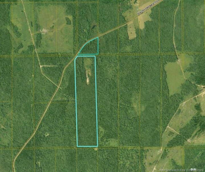 Property Photo: - Woodland - South Oromocto Lake Rd NB E5L 2R2