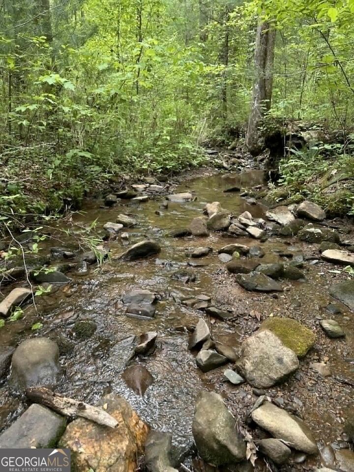 Property Photo:  Tr 1 Pleasant Hill Trail  GA 30540 