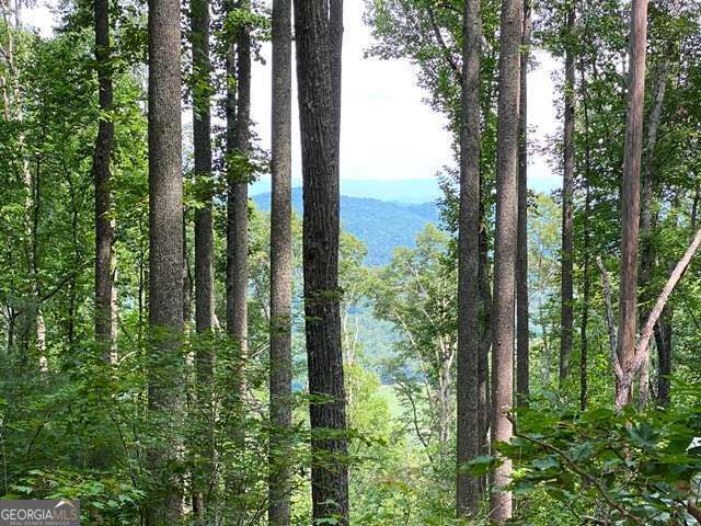 Property Photo:  Lot 1 High Country Lane  GA 30560 