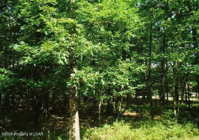 Property Photo: Jae Lot132 Kickapoo Drive PA 18202