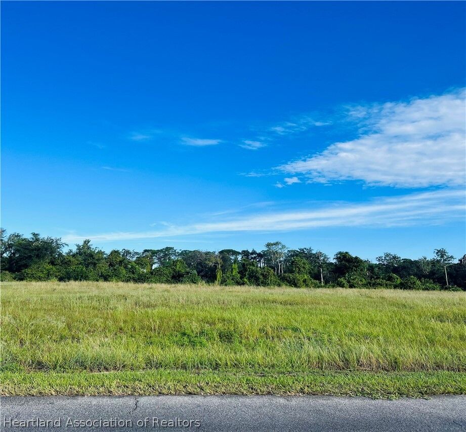 Property Photo:  2061 Jack Creek Drive  FL 33852 