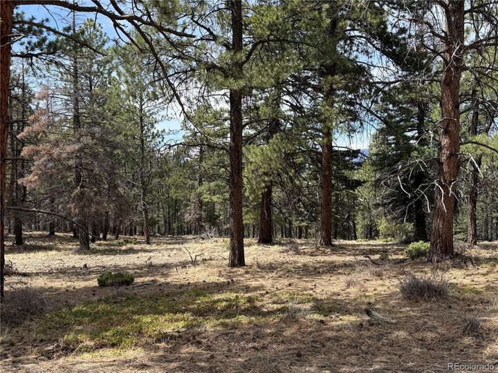 Property Photo: 152 Tahmoush Ln CO 81133