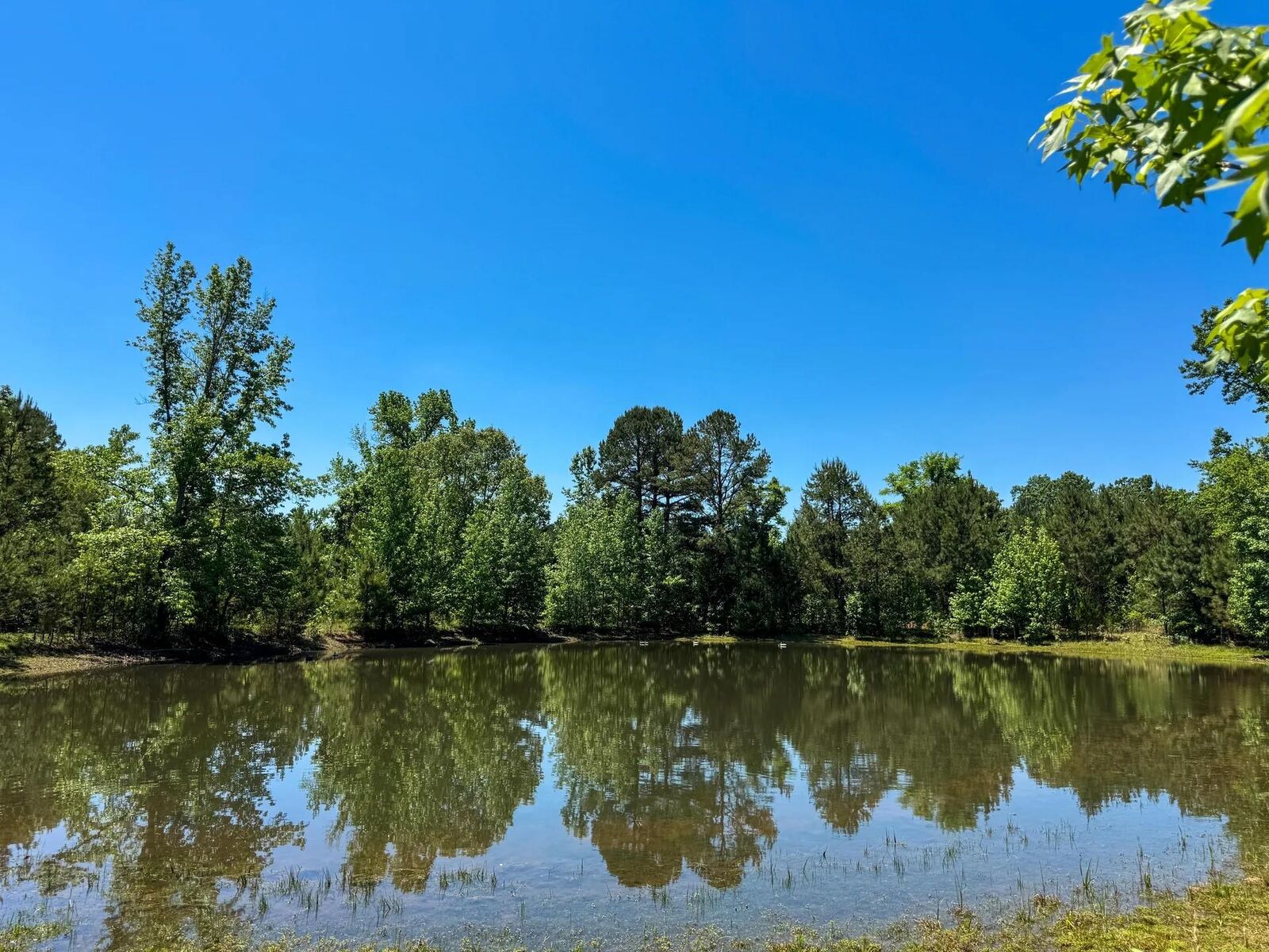 Property Photo:  1400 Foster Road   75657 