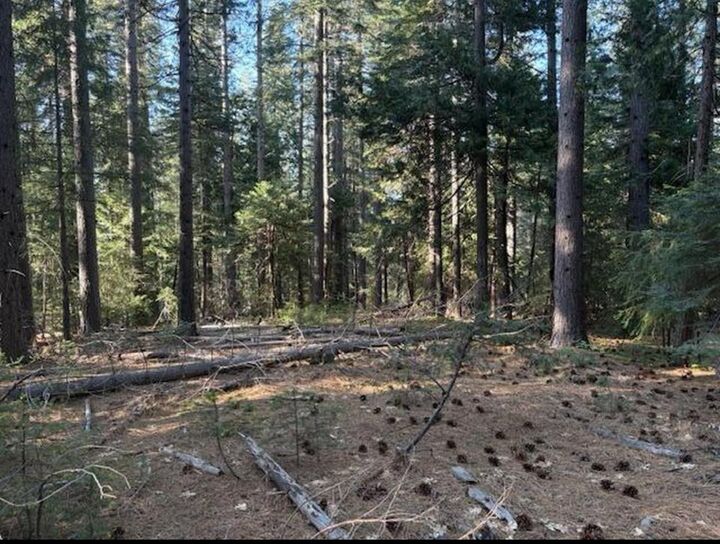 Property Photo:  30115 N Bloomfield-Graniteville Road  CA 95959 