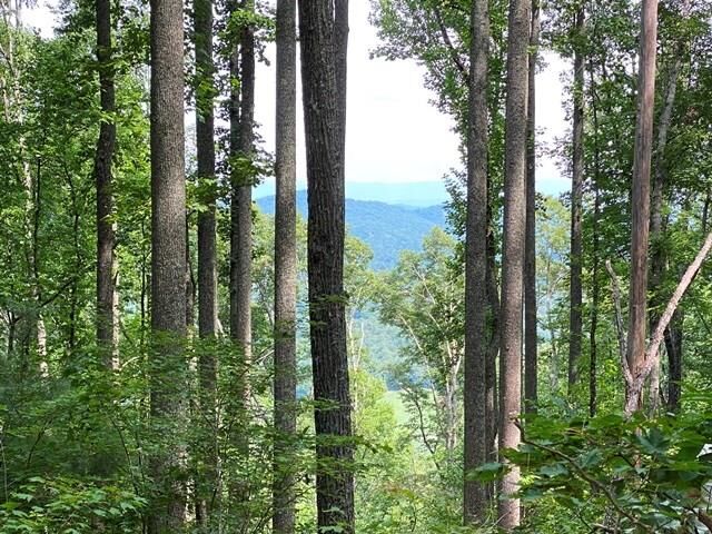 Property Photo:  Lot 1 High Country Lane  GA 30560 