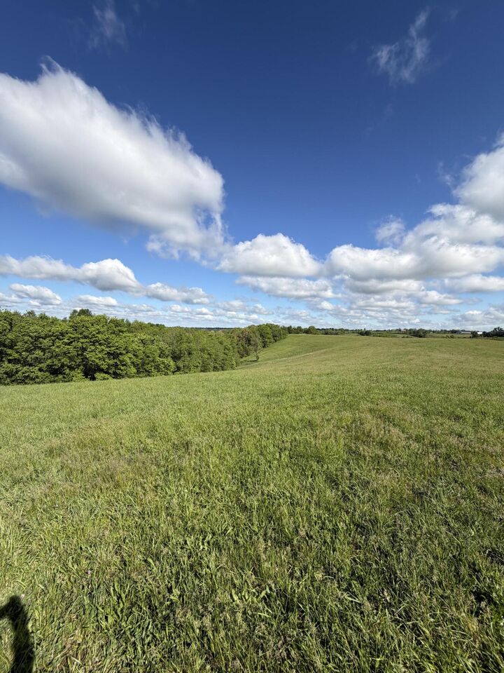 Property Photo: 5.11 Ac Chipman Ridge Road KY 41097