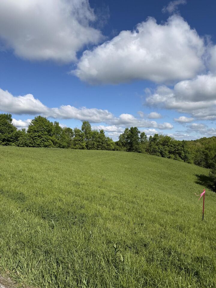 Property Photo:  5.28 Ac Chipman Ridge Road  KY 41097 