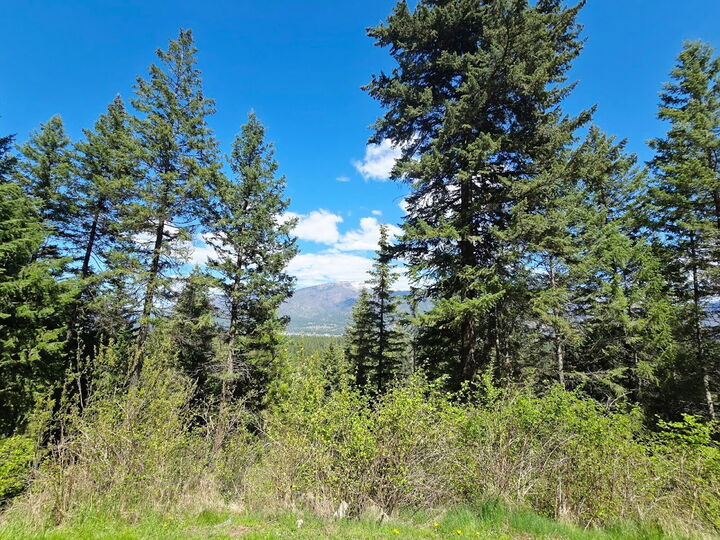 Property Photo:  93 Wapiti Point Road  MT 59873 