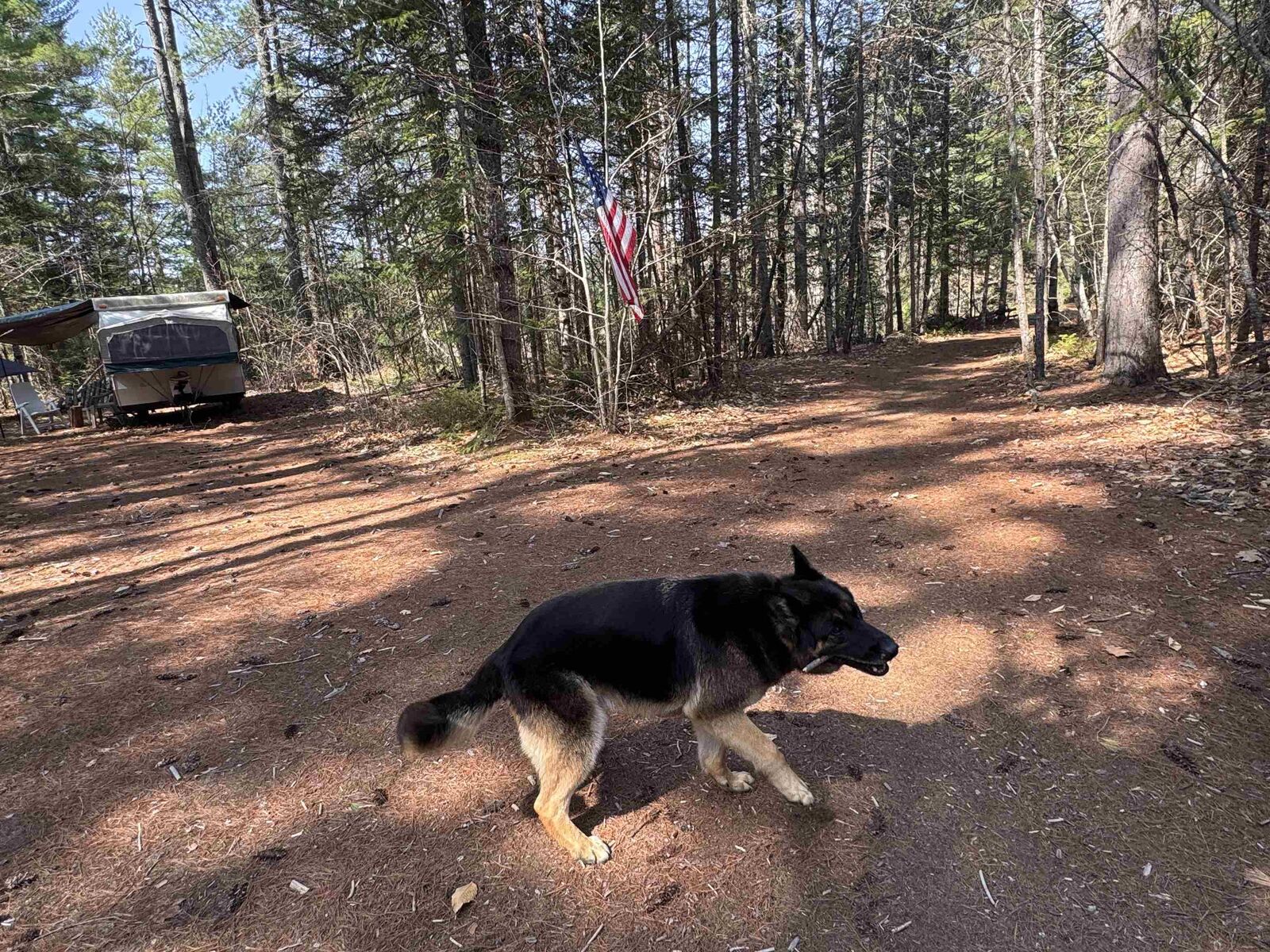 Property Photo:  00 Province Lake Road  NH 03882 