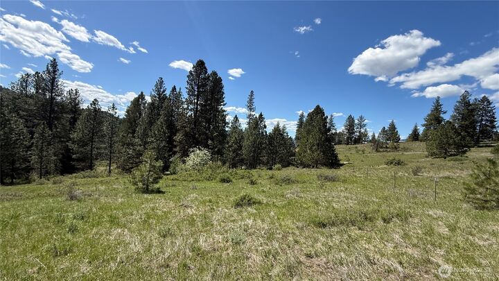 Property Photo:  0 Tbd  Fir Lane  WA 99118 