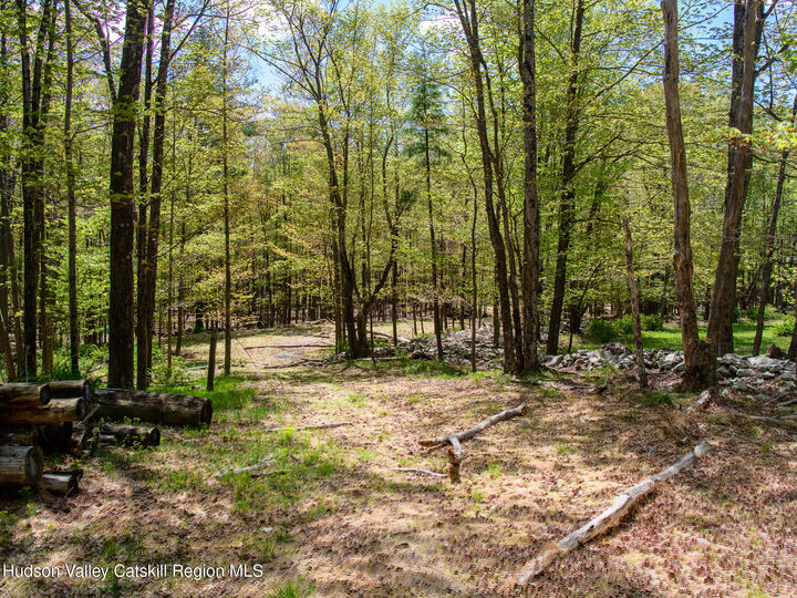 Property Photo:  000 Upper Samsonville  NY 12461 
