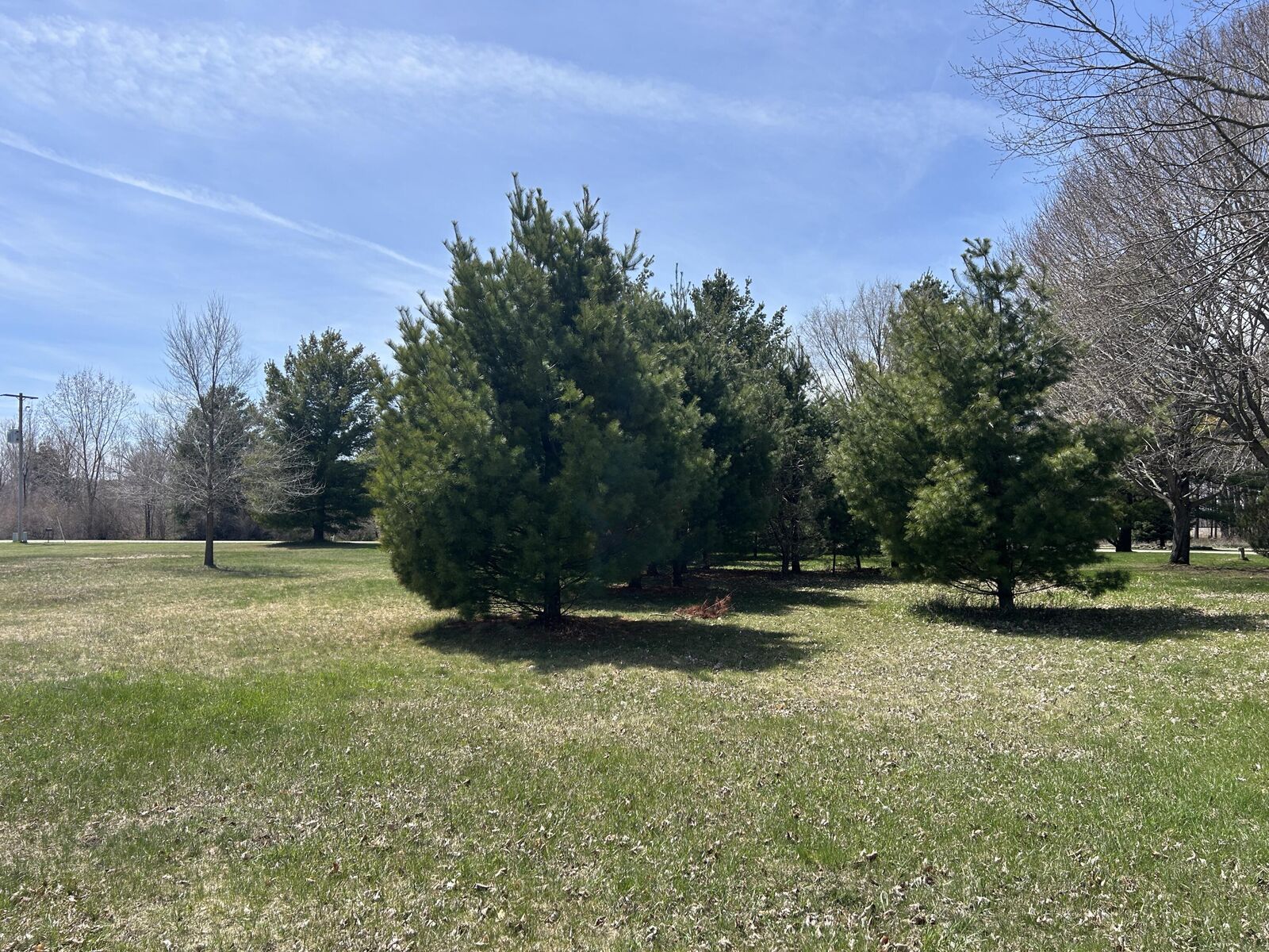 Property Photo:  Lot 30 Vaughn Trail  MI 48750 