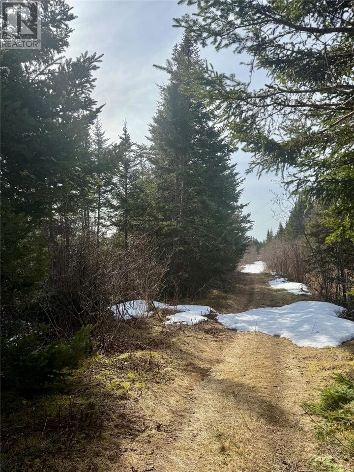 Property Photo:  0 Cable Road  NL A0E 2A0 