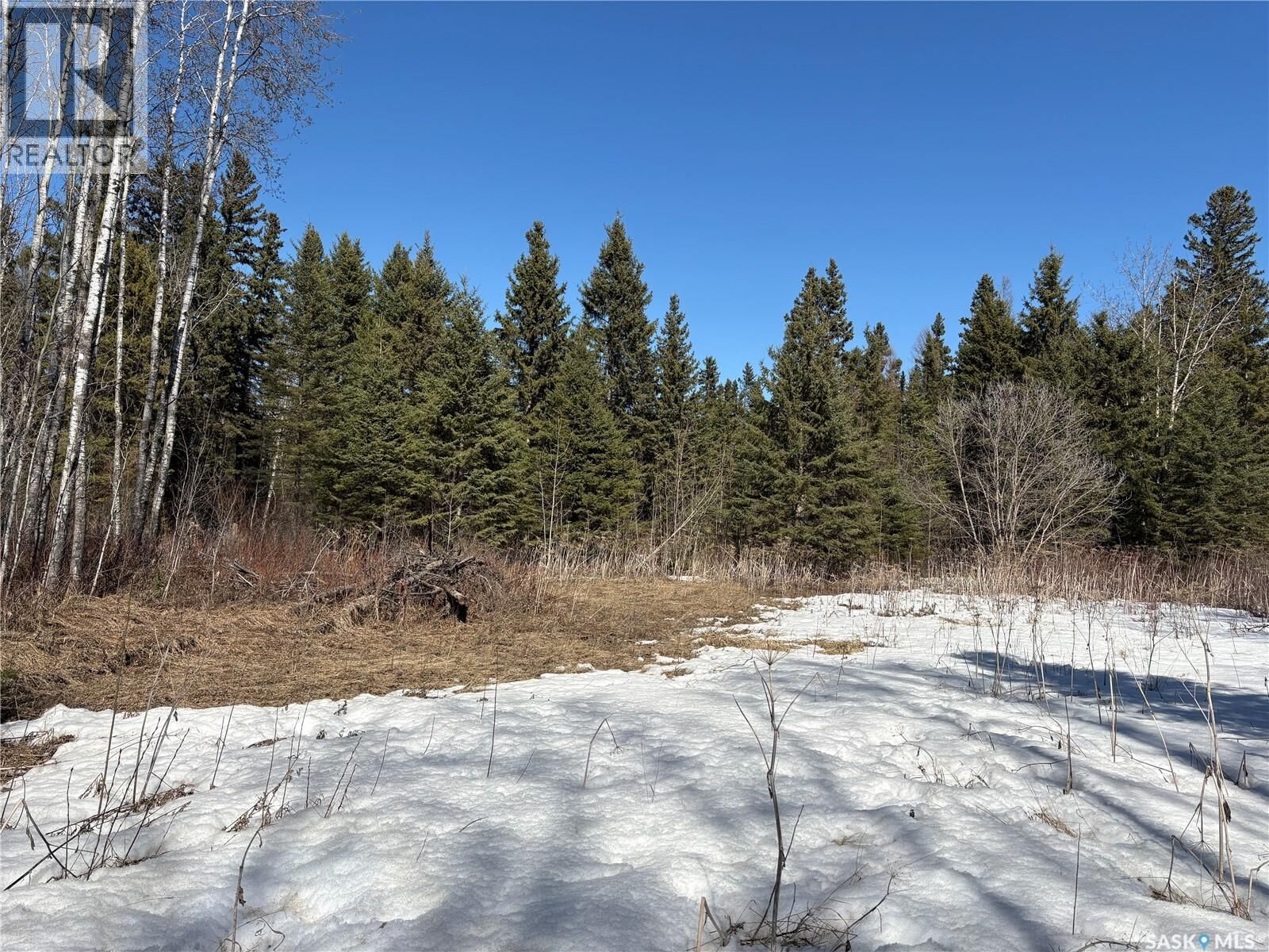 Property Photo:  Delaronde Lake 30 Acres Forest  SK S0J 0E0 