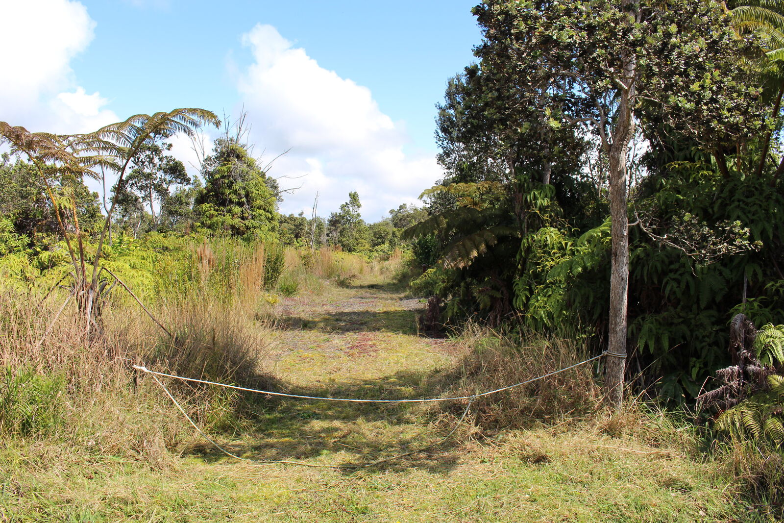 Property Photo:  Nahelenani St  HI 96785 