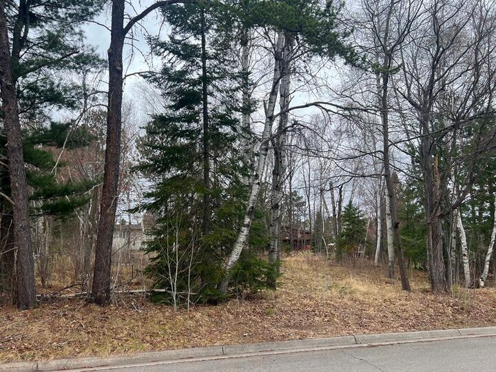 Property Photo: Tbd 3rd Avenue SW MN 55744