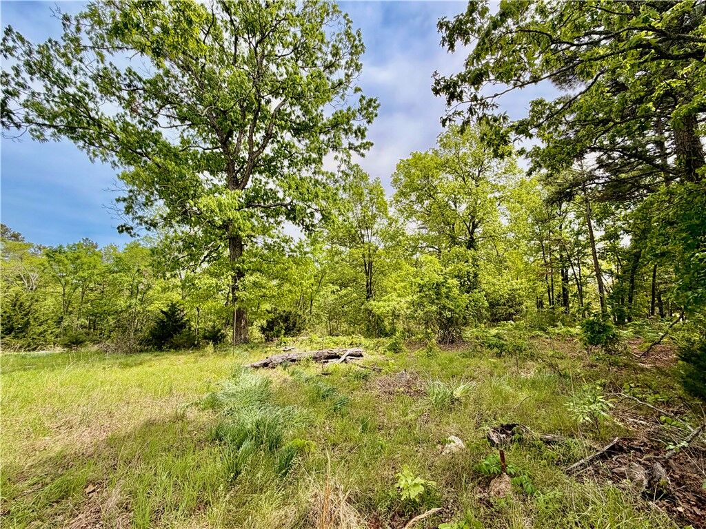Property Photo:  52 County Road 117  AR 72631 