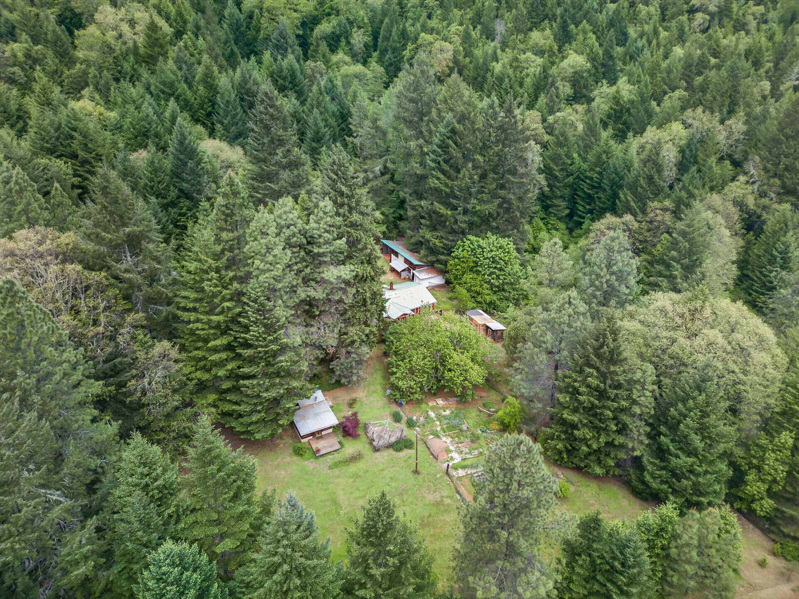 Property Photo:  181 Brimstone Road  OR 97497 