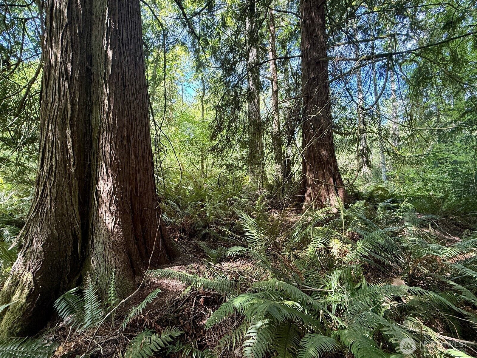 Property Photo:  5162  Phillips Road SE  WA 98367 