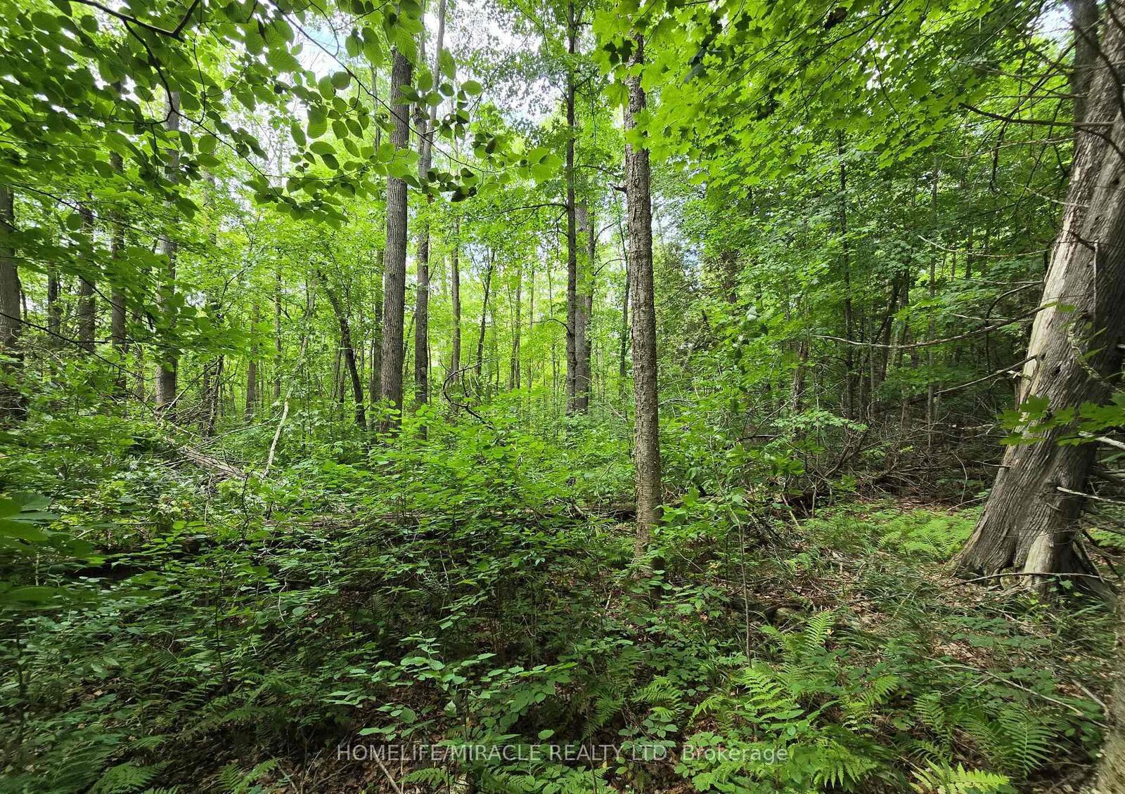 Property Photo: 000 Cedar Sands Road ON K0E 1N0