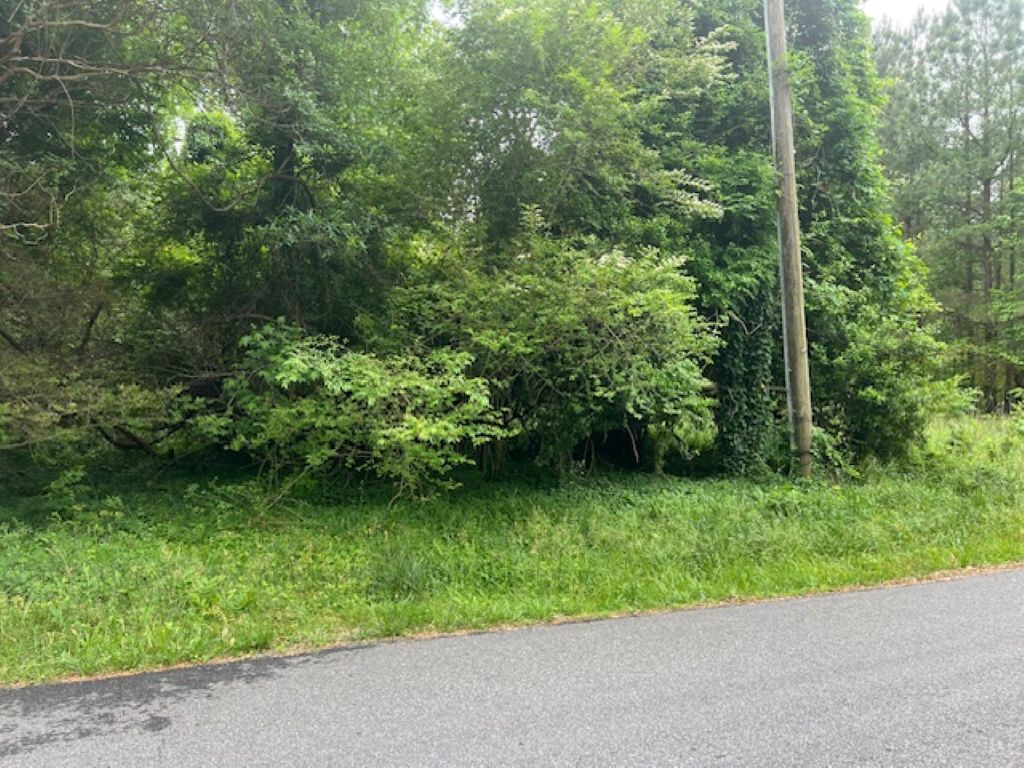 Property Photo: 1.0 Acre Mansion Avenue VA 23899
