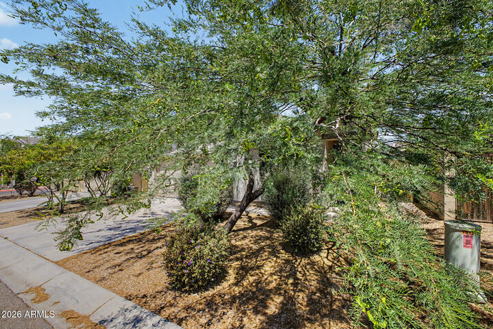 Property Photo:  1882 W Road Agent Street  AZ 85120 