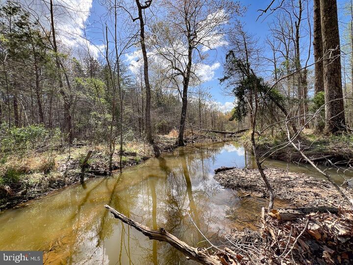 Property Photo:  116.32 Acres Gilliam Mill Road  VA 23936 