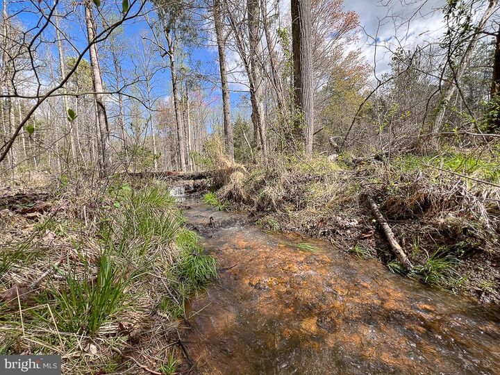 Property Photo:  116.32 Acres Gilliam Mill Road  VA 23936 