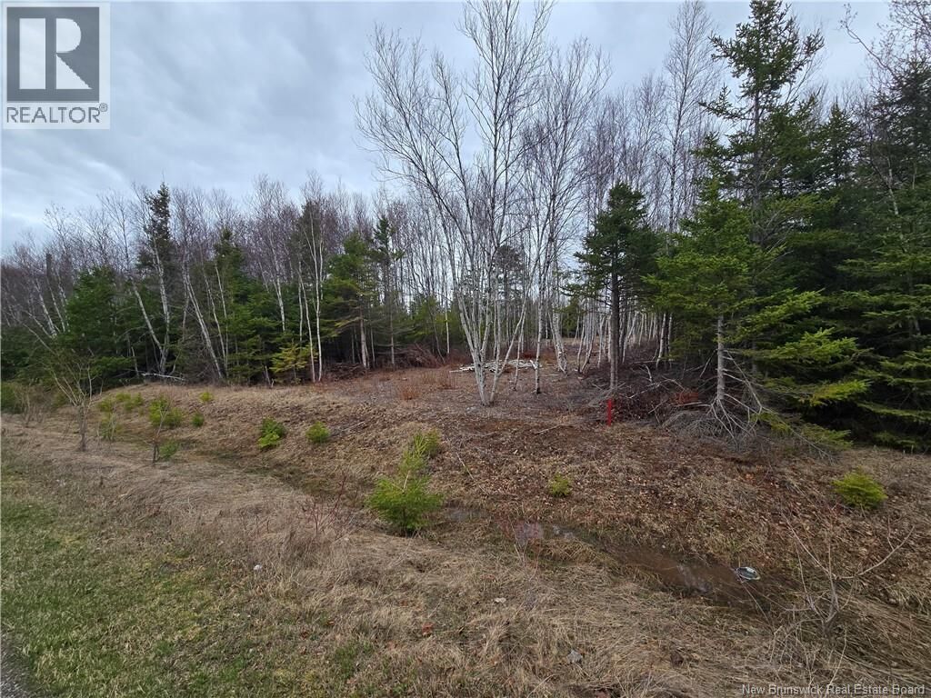Property Photo:  1.5 Acres Chemin Pierre-à-Miguel  NB E8P 0E3 