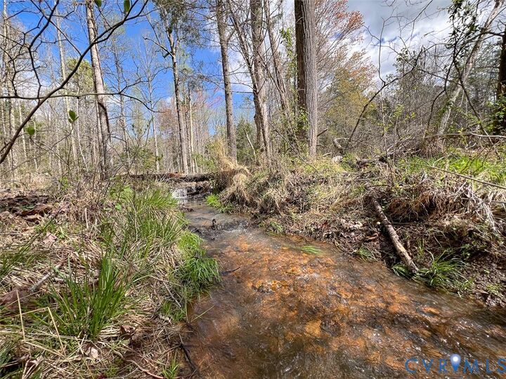 Property Photo:  116.32 Acres Gilliam Mill Road  VA 23936 