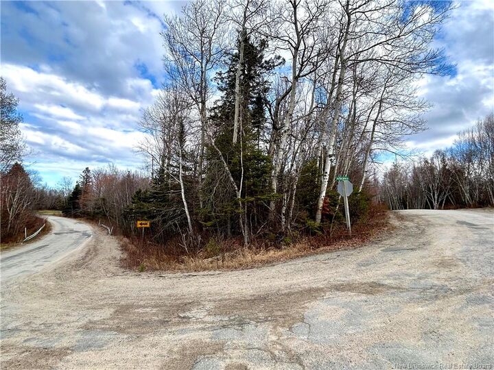 Property Photo:  2.87 Acres Portage River Road  NB E9A 1G6 