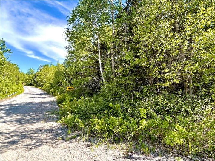 Property Photo:  2.87 Acres Portage River Road  NB E9A 1G6 