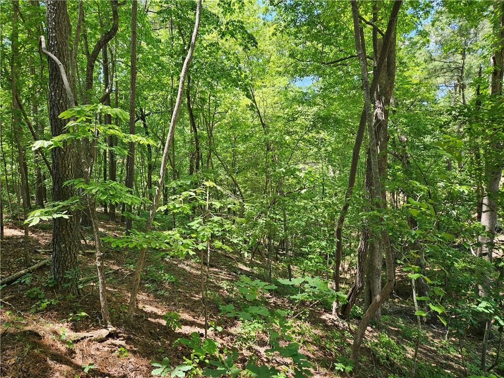 Property Photo:  1581 Mount Carmel Church Lane  GA 30114 