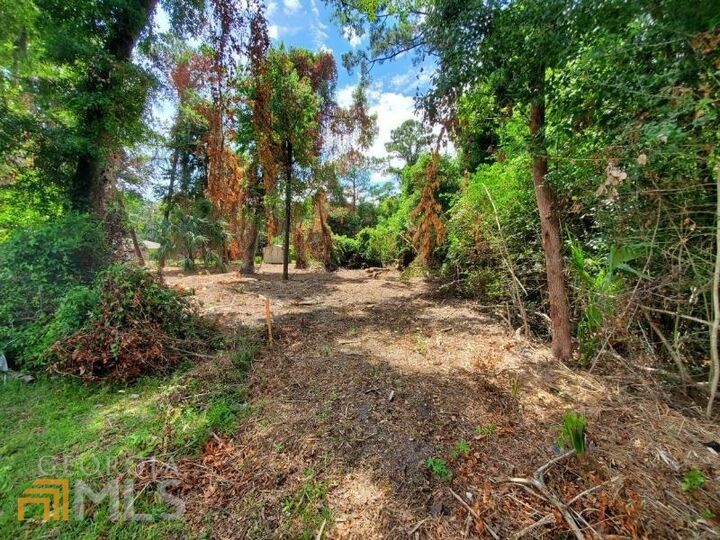 Property Photo:  0 Norris Street  GA 31558 