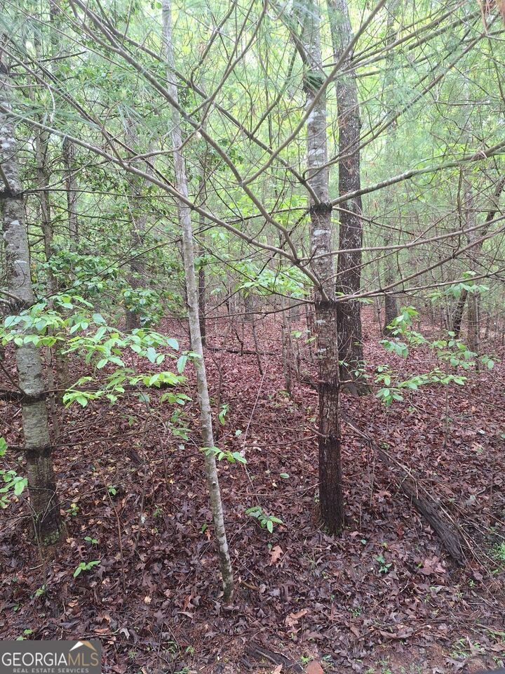 Property Photo:  Lot 14 Noontootla Ridge Court  GA 30513 