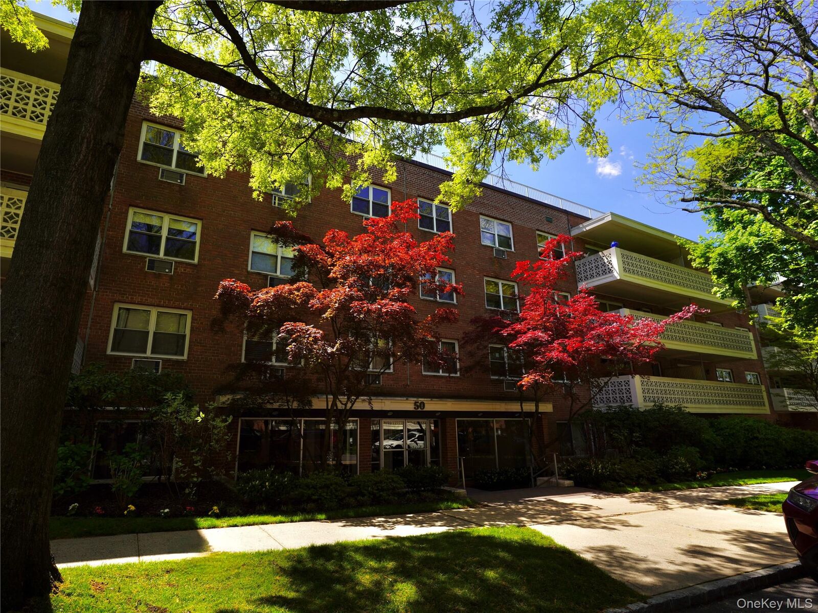 Property Photo:  50 Hillpark Avenue 3E  NY 11021 