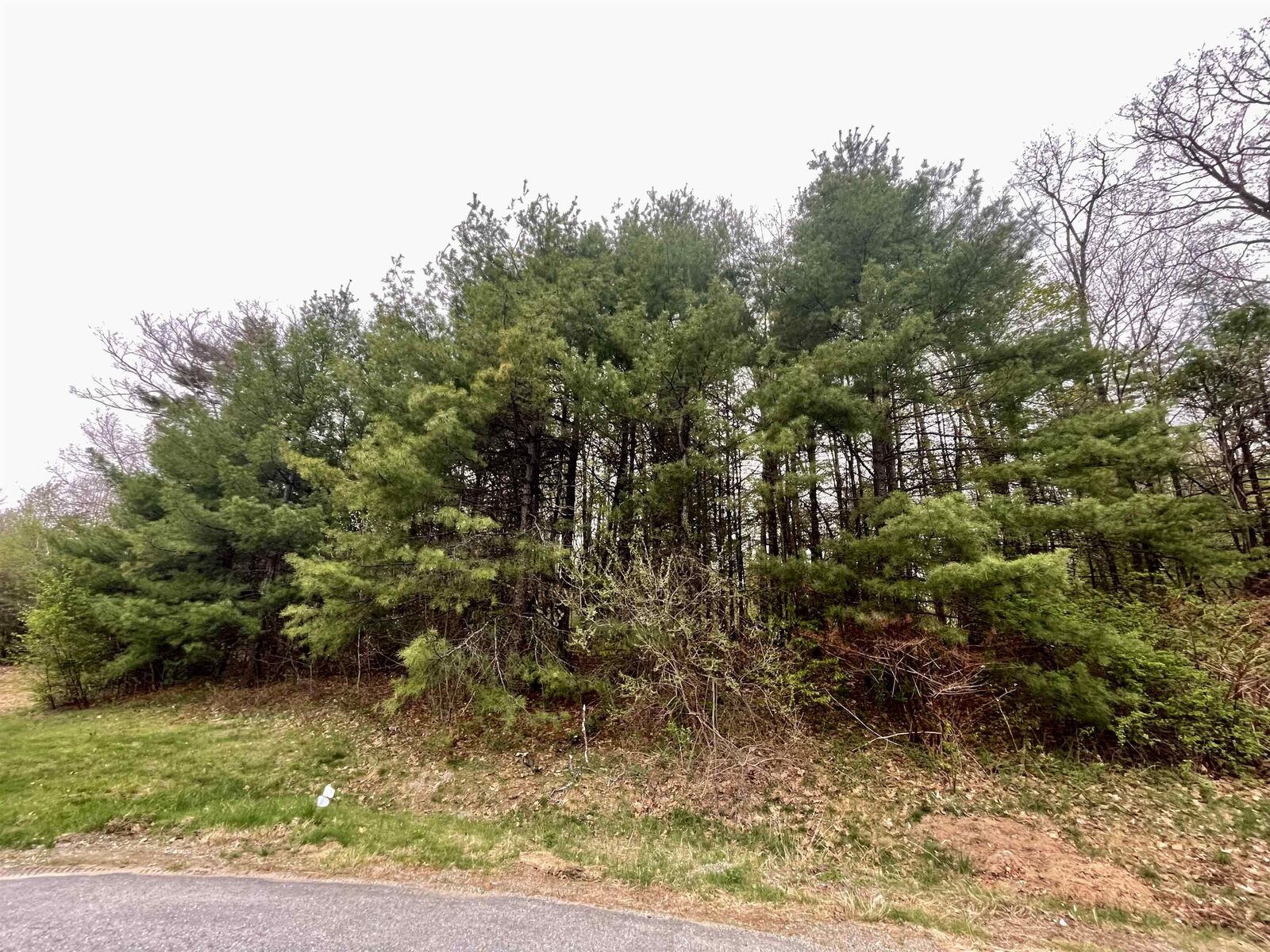Property Photo:  12-2 Pontiac Drive  NH 03462 