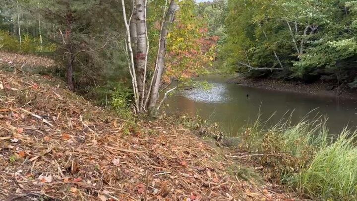 Lot 03-3C Point Forty Four Road — photo 1