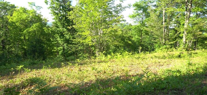 Property Photo:  83xxx - Lot 13 Ashwabay Road  WI 54814 