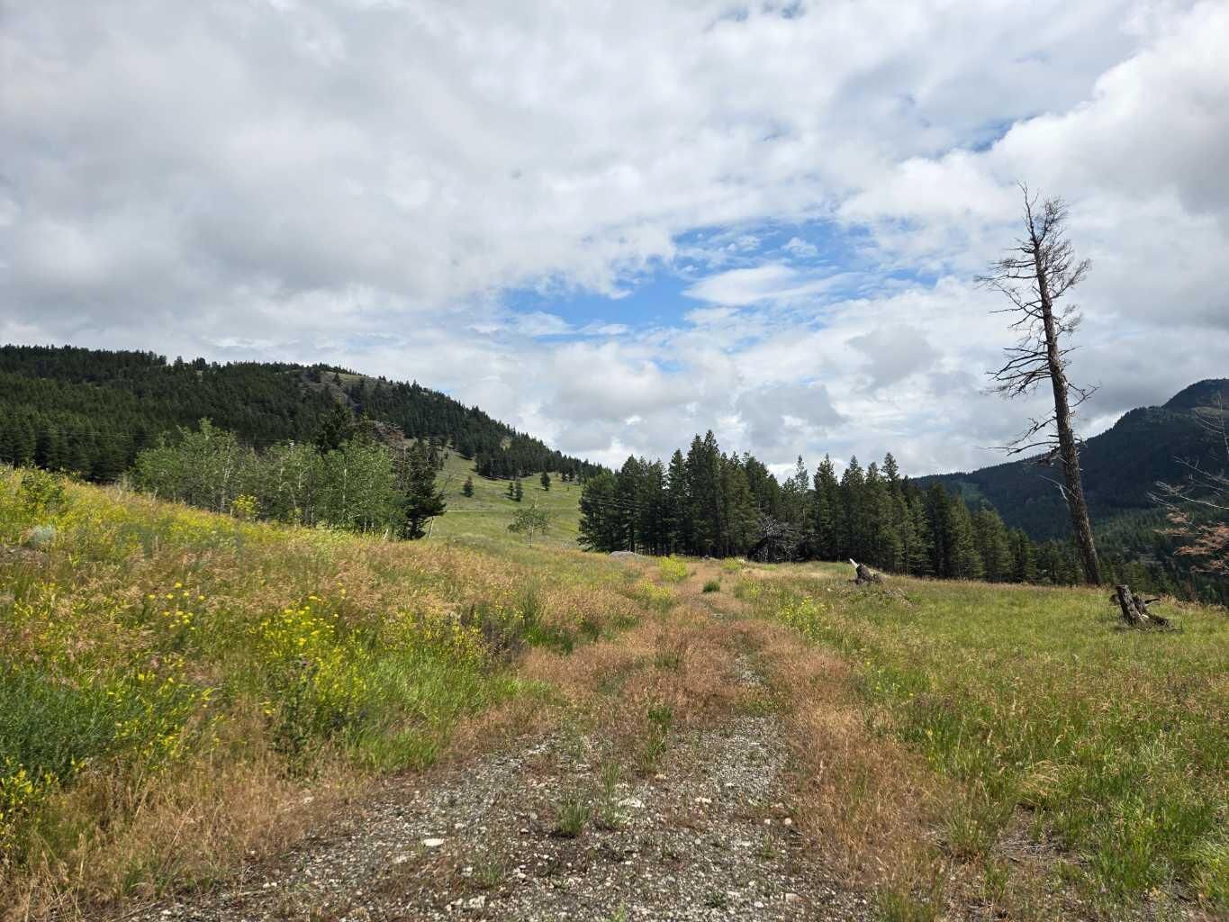 Property Photo:  5302 19th Avenue #4  AB T0K 0M0 