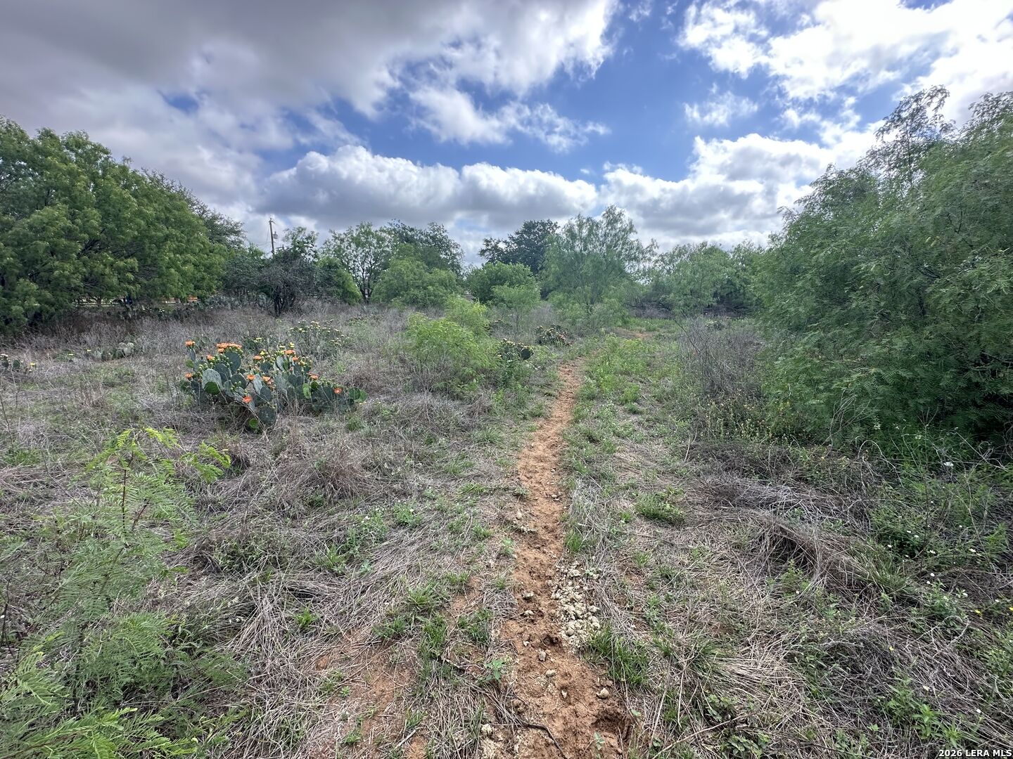 Property Photo:  17603 Shepherd Rd  TX 78002 